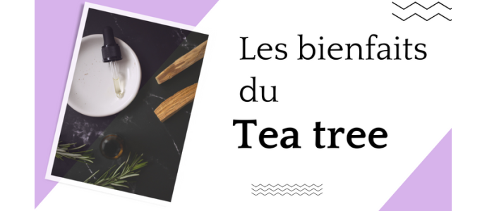 Les bienfaits du Tea Tree en cosmétique